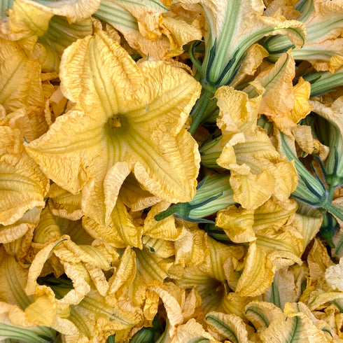 Black Futsu Squash
